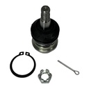 [ 43310-39016 ] - 555 - ROTULA SUPERIOR TOYOTA PRADO/RUNNER 96.