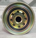 [1770A012] - MITSUBISHI | (NP)FILTRO COMBUSTIBLE