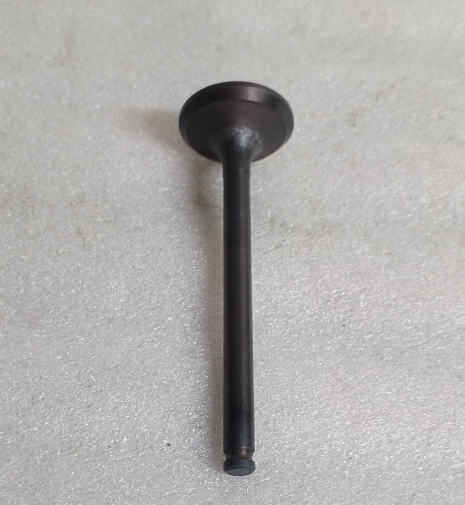 [MD070694] - NPC-JAPON | VALVULA ESCAPE MOTOR L300