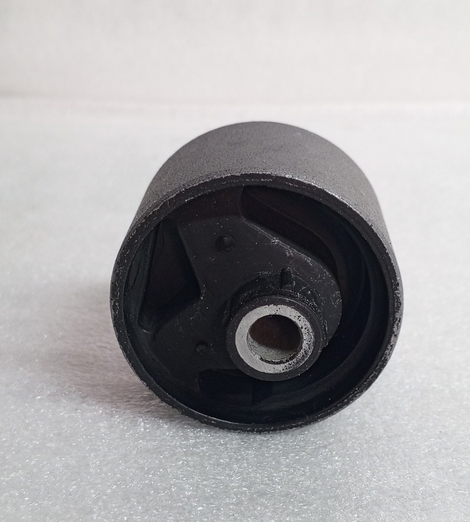 [ MR267949 ] JOMO-BUJE SOPORTE CAJA NATIVA MONTERO