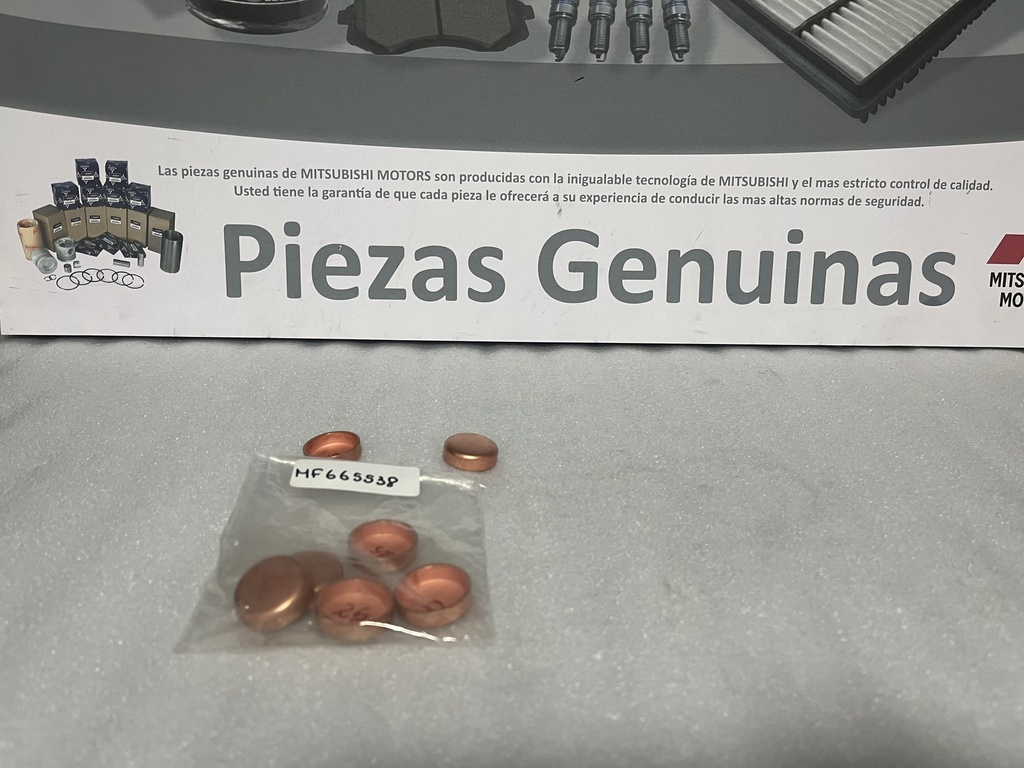 [MF665538] - NACIONAL | TAPON BLOQUE DE MOTOR 25 mm (25.5mm)